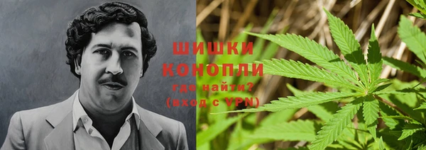 шишки Баксан