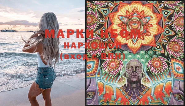 шишки Баксан