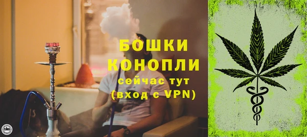 шишки Баксан